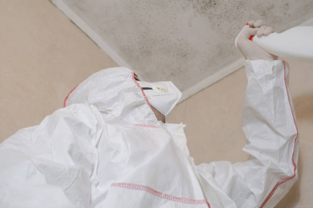 Best Mold Remediation for Schools in Duchesne, UT